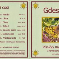 Radek-Novak-Gdesi-Cosi-pb